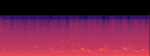 spectrogram B