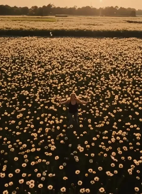 A young blonde woman stands in a vast golden field of dandelions, her blonde hair blowing gently in the wind.