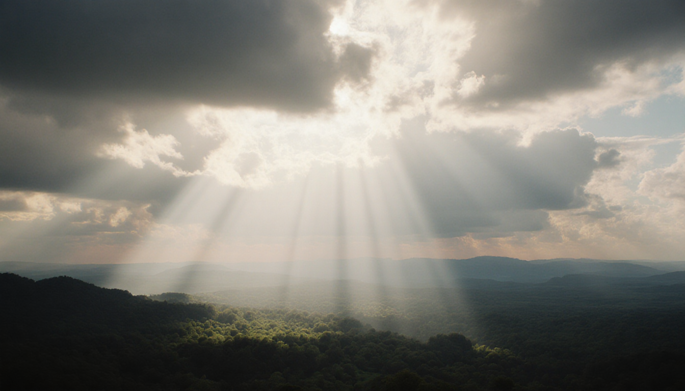 Zsky Ai Tutorial Beginners